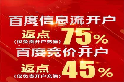 SEM代运营经典案例解析与启示